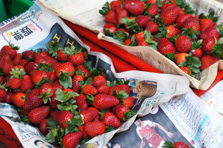 CAMERON HIGHLAND, MALAYSIA - JULY 16, 2020: Strawberries are sold in large quantities in the wholesale market. Customers will choose their own desired strawberries.のeditorial素材