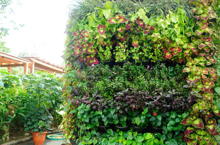 Flowers and vegetable planting in plastic pots. It was hanged vertically like a vertical garden. Save space and suitable for the urban garden.の写真素材