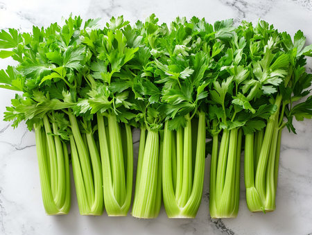 Bunch of fresh celery on white marble background. Top viewの素材