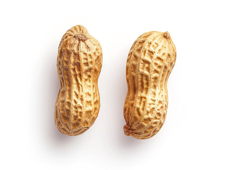 Peanuts isolated on white background. Top view. Flat lay.の素材