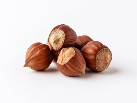 Hazelnuts isolated on white background. Clipping path included.の素材