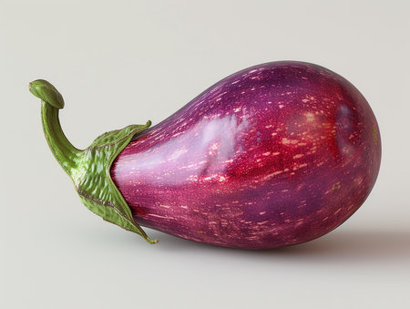 Eggplant isolated on white background. 3D illustration. Full depth of field.の素材