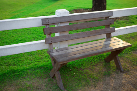 bench in parkの写真素材