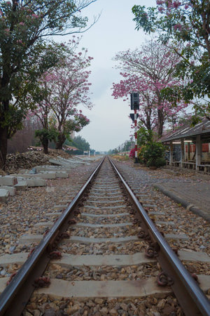 Railroad in pink moment.の写真素材