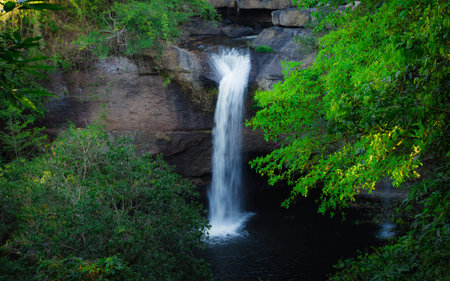 waterfall of Thailand in the jungle.の写真素材