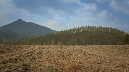 Conservation of soil, water and forests in Thailand.Follow to the trail King.