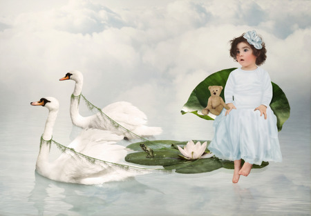 White swans and little girl .Water walkの写真素材