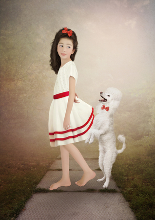 The little girl in white dress with long hair and poodleの写真素材