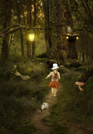 The road to a fairy taleの写真素材