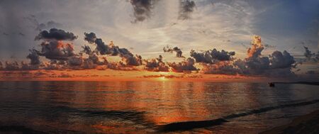 nature, sun,の写真素材