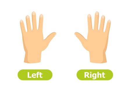 Vector antonyms and opposites. Left and Right. Illustrations on white background. Card for teaching aid.のイラスト素材