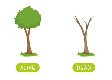 Alive and dead antonyms word card vector template.のイラスト素材