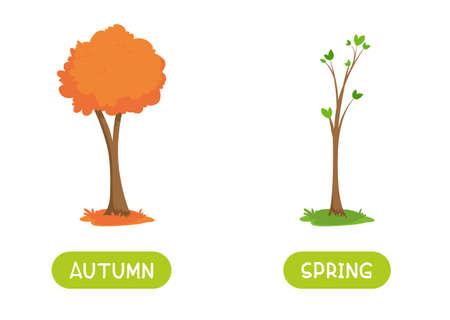 Autumn and spring antonyms word card vector template. Flashcard for english language learning. Opposites concept. A tree with an orange crown and a spring tree with the first leaves.のイラスト素材