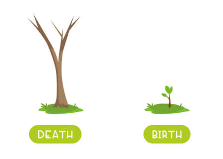 Death and birth antonyms word card vector template. Flashcard for english language learning. Old and withered tree trunk and tree sprout.のイラスト素材