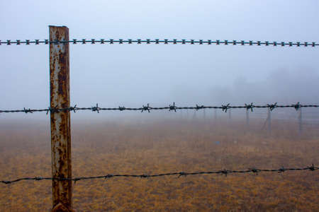 Closeup of wired fencing on a misty morning.の写真素材