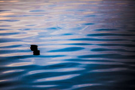 Floating pots on lake water reflecting dusk colors.の写真素材