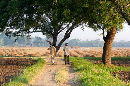 An Indian rural scene showing two Indian farmer walk in the field.の写真素材