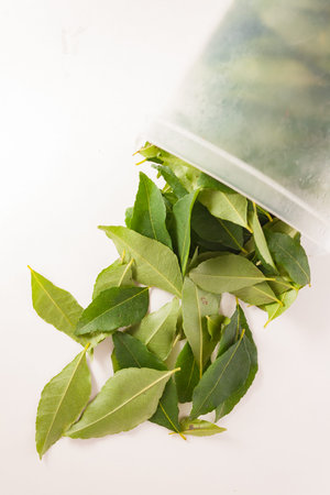 Curry leaves okarapincha (Murraya koenigii) isolated on white background