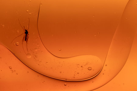 Closeup of orange yellow oil drop abstract with mosquito dead