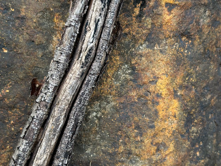 Close-up of weathered twigs on a textured rock surface, depicting natural patterns and earthy tones.の写真素材