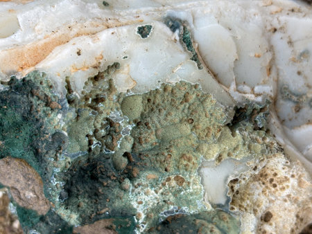 Close-up of a textured mineral surface with green and white patterns, suitable for geology backgrounds.の写真素材