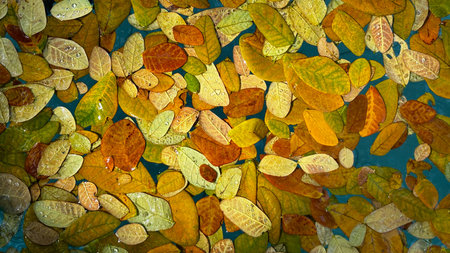 A pile of leaves with some of them being yellow and some brown