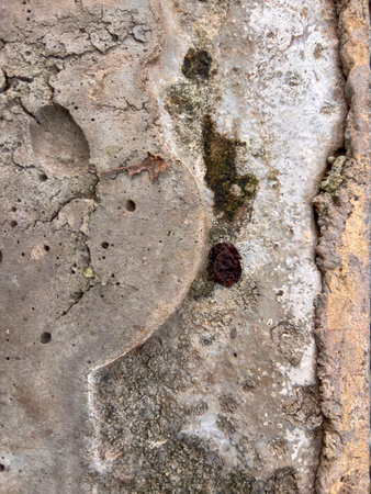 A wall with a crack in it and some paint on it. The paint is yellow and brown