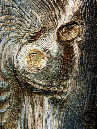 A close up of a wooden surface with a hole in the middle. The wood is old and has a grainy texture. The hole in the middle of the wood is a unique feature that draws attention to itの写真素材