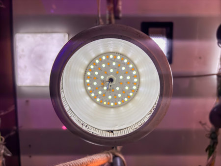 A light bulb is lit up and is in the center of the image. The light is bright and white, and it is...