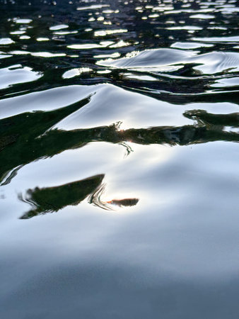 Reflection of the sun on the water. The water is calm and still. The reflection of the sun is...