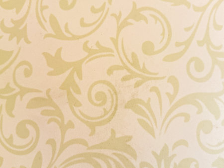 A patterned wall with a floral design. The pattern is very intricate and detailed. The wall is white and the design is in a light colorの写真素材