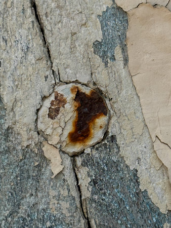 A piece of wood with a rusted metal object in the middle. The rusted object is a circle with a...