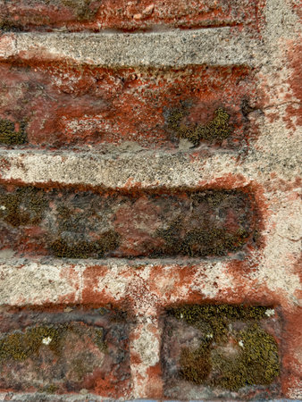 A brick wall with moss growing on it. The wall is red and white. The moss is green and brown