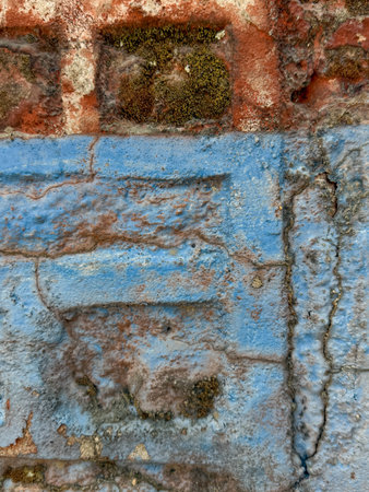 A blue and brown brick wall with a green mossy patch. The wall is old and has a worn appearance