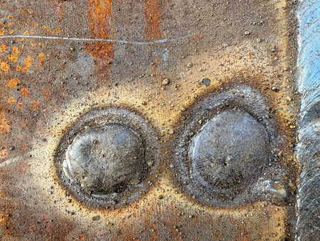The image is of two small rocks with a lot of dirt and rust on them. The rocks are in the middle of...