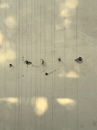 A wall with bullet holes and a shadow of a tree. The wall is white and the bullet holes are black