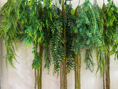 A wall covered in green plants and vines. The plants are arranged in a way that creates a sense of depth and movement. Scene is one of natural beauty and tranquilityの写真素材