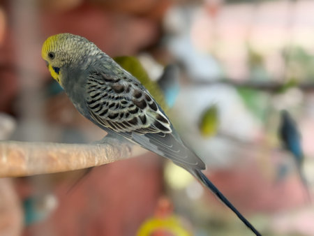 A bird with a yellow beak is perched on a branch.