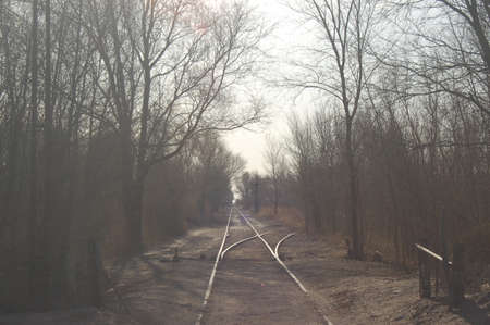 Train tracks with trees in autumn.の写真素材