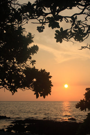 sunset viewed through the trees