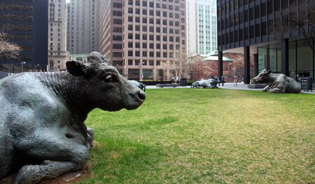 statues of bronze cows in downtown torontos financial districtの写真素材