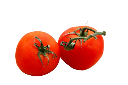 fresh red organic tomatoes with vine still attached isolatedの写真素材