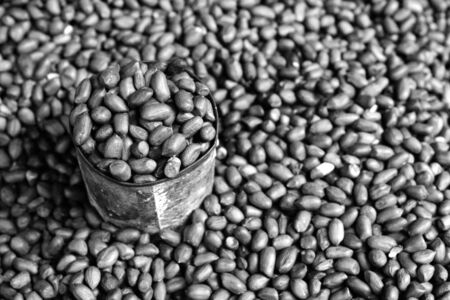 a cup of nuts, a lots of nuts in backgroundの写真素材
