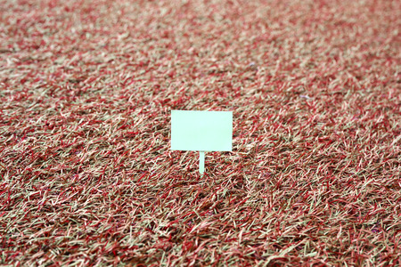 Sign on grass, green lawn, with space for caption, dreamy colorの写真素材