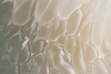 close up on pomelo, Thai fruitの写真素材