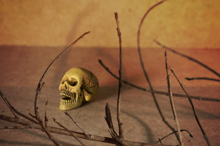 skeleton among dry branchesの写真素材