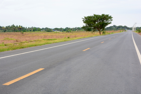 clearly road with a big tree besideの写真素材