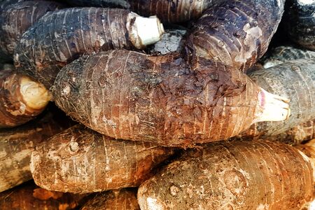 Knolle or potato in a lot grouping textureの写真素材