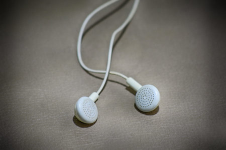 ear buds or earphones