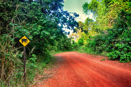 Elephant shape on the signboard in the forest, national park